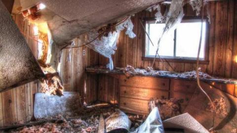 Pristine Place - 8f.jpg