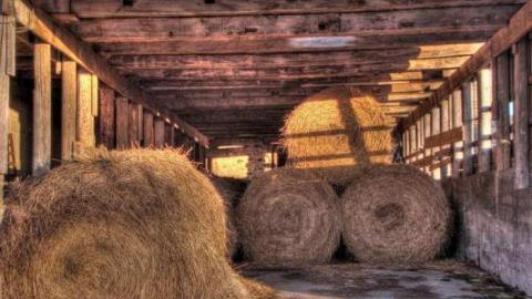 Pristine Place - 9b.jpg