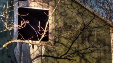 Pristine Place - 9f.jpg