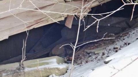 Raccoon Chalet photo 2