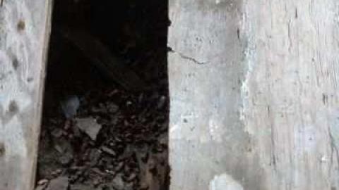 Raccoon Chalet photo 5