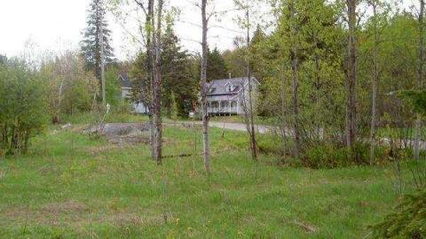 Gallery - Seguin-Falls-Ghost-Town4.jpg