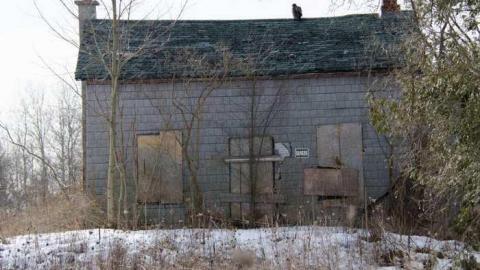 March 2013 - 2013 March_8326D26.jpg