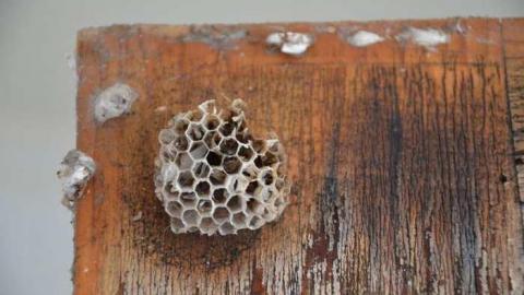 Floody Waters - JIM_7803.jpg