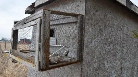 Photo from Floody Waters