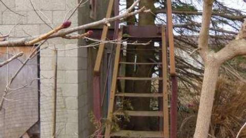 Photo from Mystery Building, Mar 28,2013