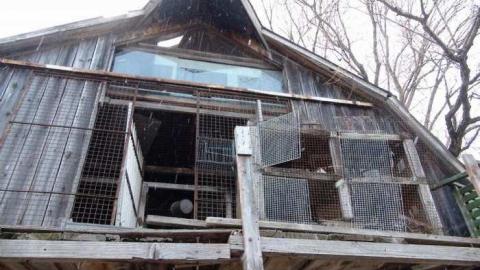 March 2013 - Carrique-Property19.jpg