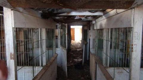 March 2013 - Carrique-Property21.jpg