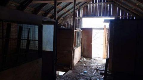 March 2013 - Carrique-Property23.jpg