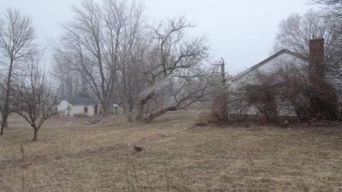 March 2013 - Squatter-House35.jpg