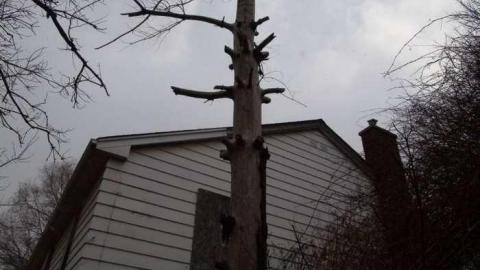 March 2013 - Squatter-House33.jpg