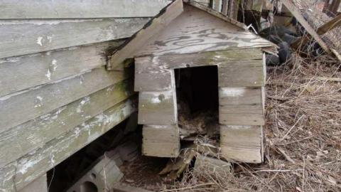 April Fools 2013 - Mess-on-Dundas22.jpg