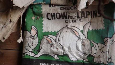 April Fools 2013 - Mess-on-Dundas40.jpg