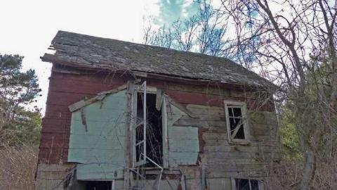 Quick stop - P1010355e.jpg