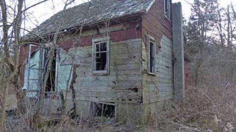 Quick stop - P1010356e.jpg