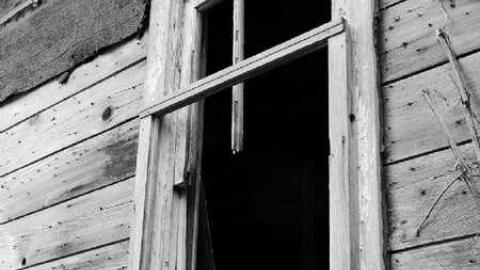 Quick stop - P1010357e.jpg