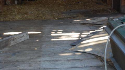 Gallery - DSC_2101.jpg