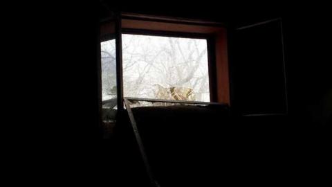 Photo from April 2nd 