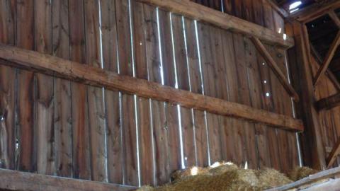 Gallery - DSC_2099.jpg