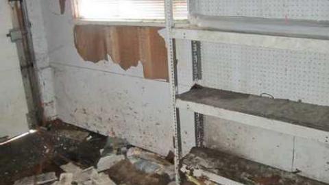 Photo from 22/3/2013