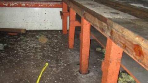 Photo from 22/3/2013