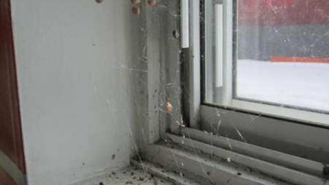 22/3/2013 - IMG_0831.jpg