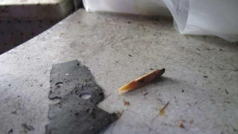 22/3/2013 - IMG_0839.jpg