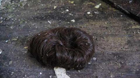 Interiors April 3 2013 - DSC_0454.jpg