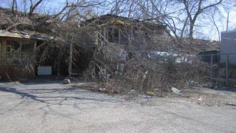 3/4/2013 - Spring-Garden-Centre10.jpg