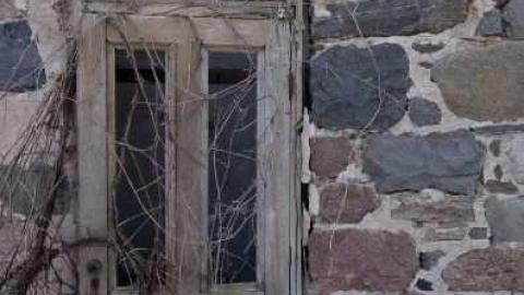 Mar 2013 - 14.1565.jpg