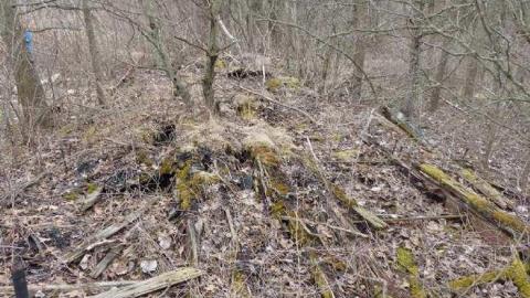 Man bridge, railway switch - Coyle-Roadhouse24.jpg