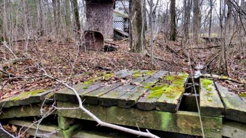 Miller Creek Mystery - 04 - IMG_0390bX.jpg