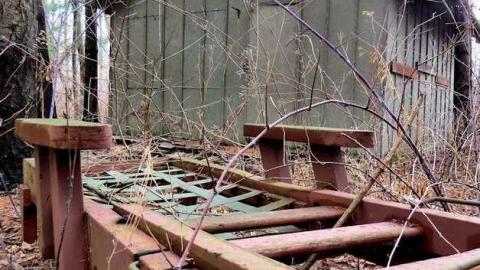 Miller Creek Mystery - 06 - IMG_0378c-OAP.jpg