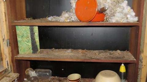 Miller Creek Mystery - 08 - IMG_0370bO.jpg