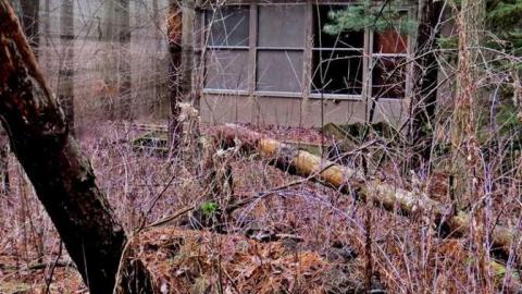 Miller Creek Mystery - 10 - IMG_0380b2Oc.jpg