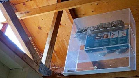 Miller Creek Mystery - 13 - IMG_0389dO.jpg