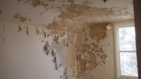 April 2013 - DSC01891.jpg