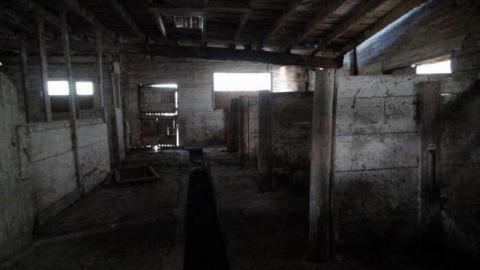 April 2013 - DSC01916.jpg