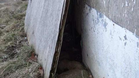 Ooo La La Mon Cherie - Paisley4.jpg