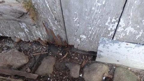 White Paisley - Guelph/Eramosa, Ontario