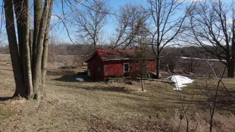 White Paisley photo 5