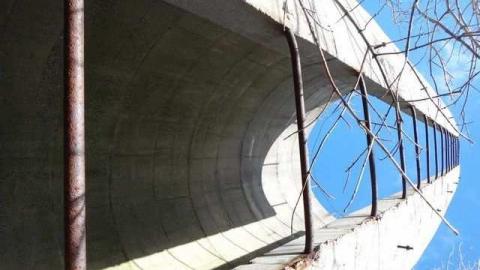 White Paisley photo 2