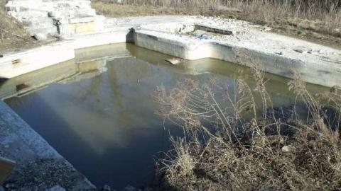 Sad News - Caledon-Credit-Estate16.jpg