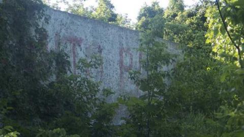 Bus Graveyard photo 2