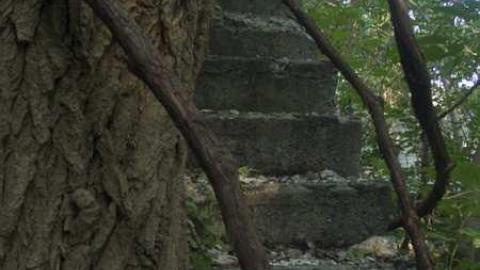 Bus Graveyard photo 5