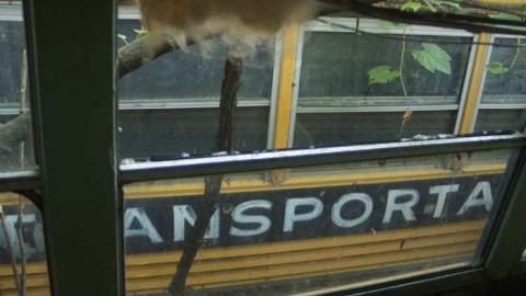 Summer 2011 - CRW_5848.jpg