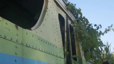 Summer 2011 - CRW_5857.jpg