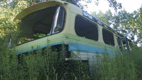 Bus Graveyard - Lakeshore, Ontario