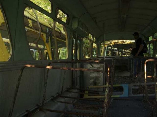 Bus Graveyard - Lakeshore, Ontario