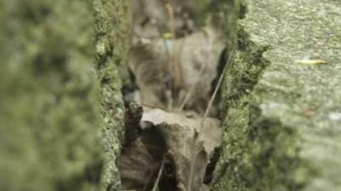 Photo from Silos By The River